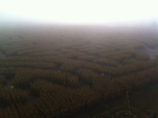 World's Largest Corn Maze in the fog